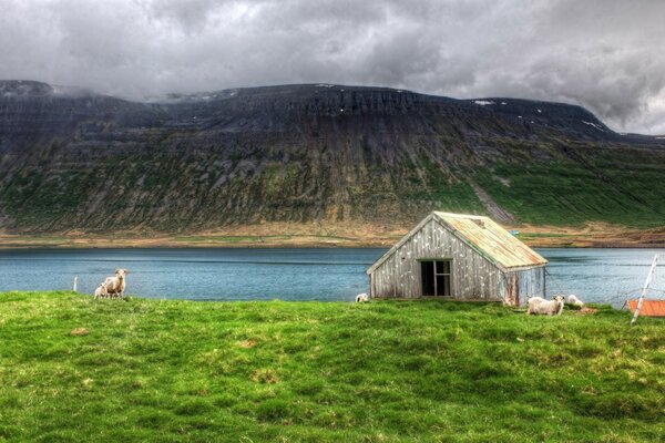 An old house on the lake shore