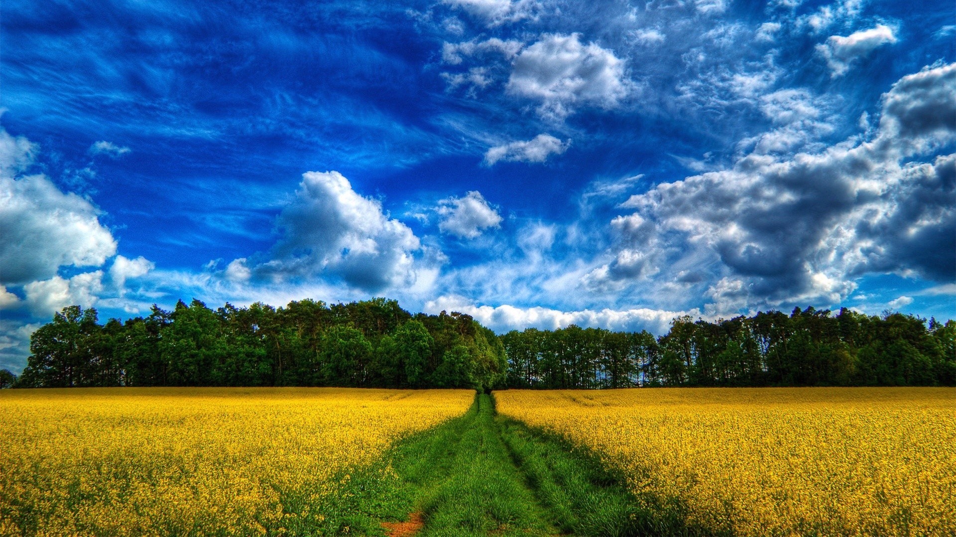 paysage ciel paysage nature agriculture champ nuage rural été campagne à l extérieur horizon ferme beau temps soleil arbre météo lumière du jour foin herbe