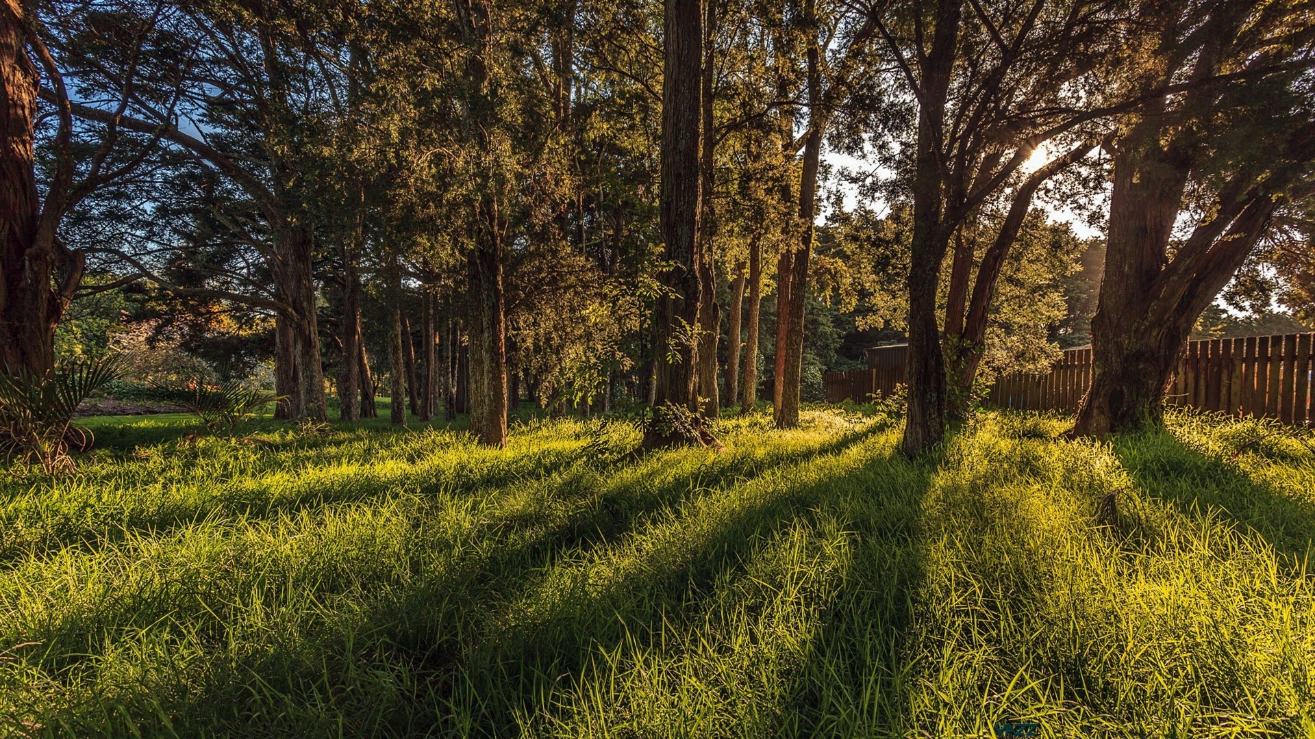 paysage paysage arbre nature bois herbe environnement extérieur pittoresque campagne pays rural beau temps saison champ flore agriculture feuille soleil aube