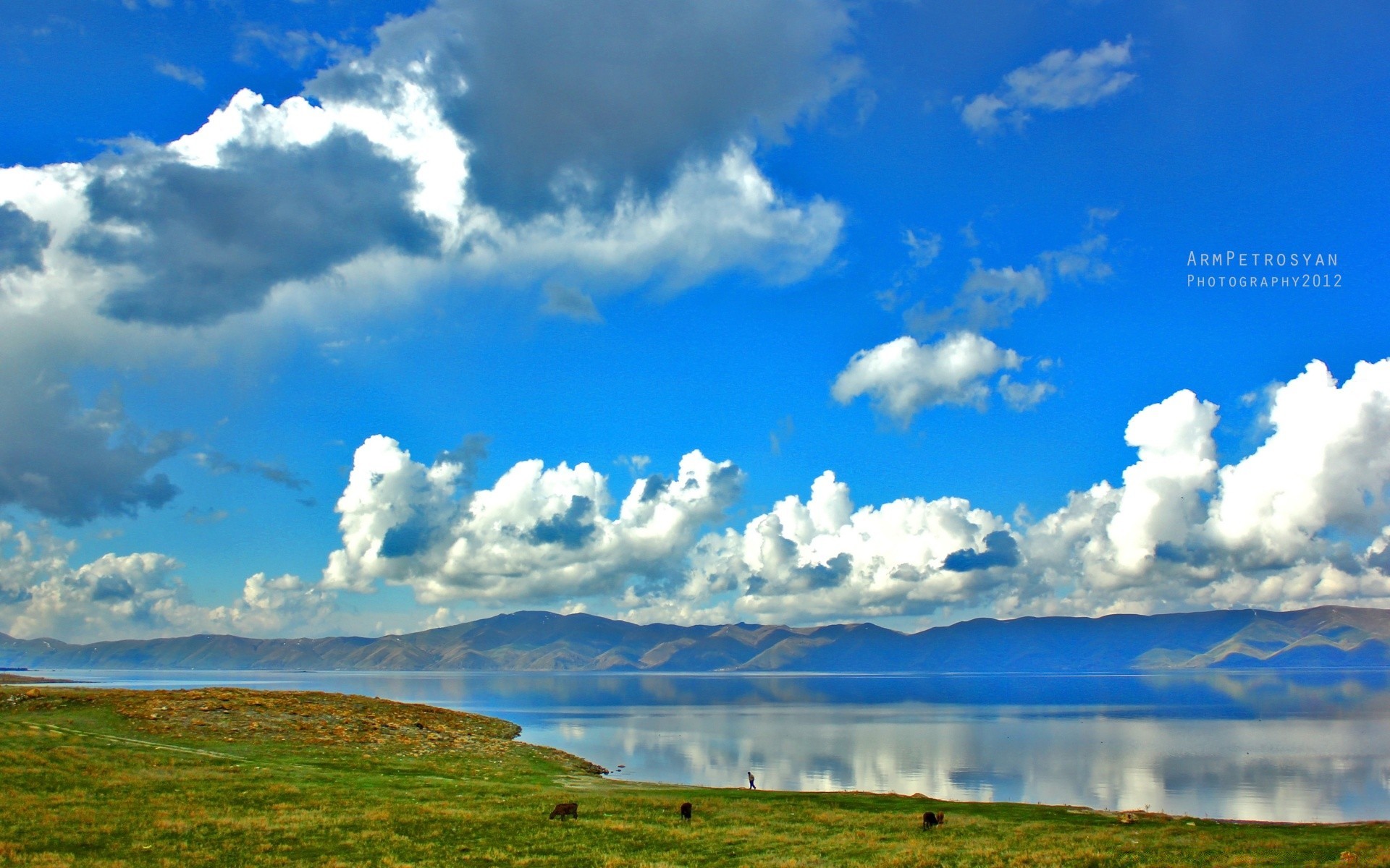 paysage nature ciel dehors été paysage herbe rural beau temps voyage eau idylle campagne nuage soleil