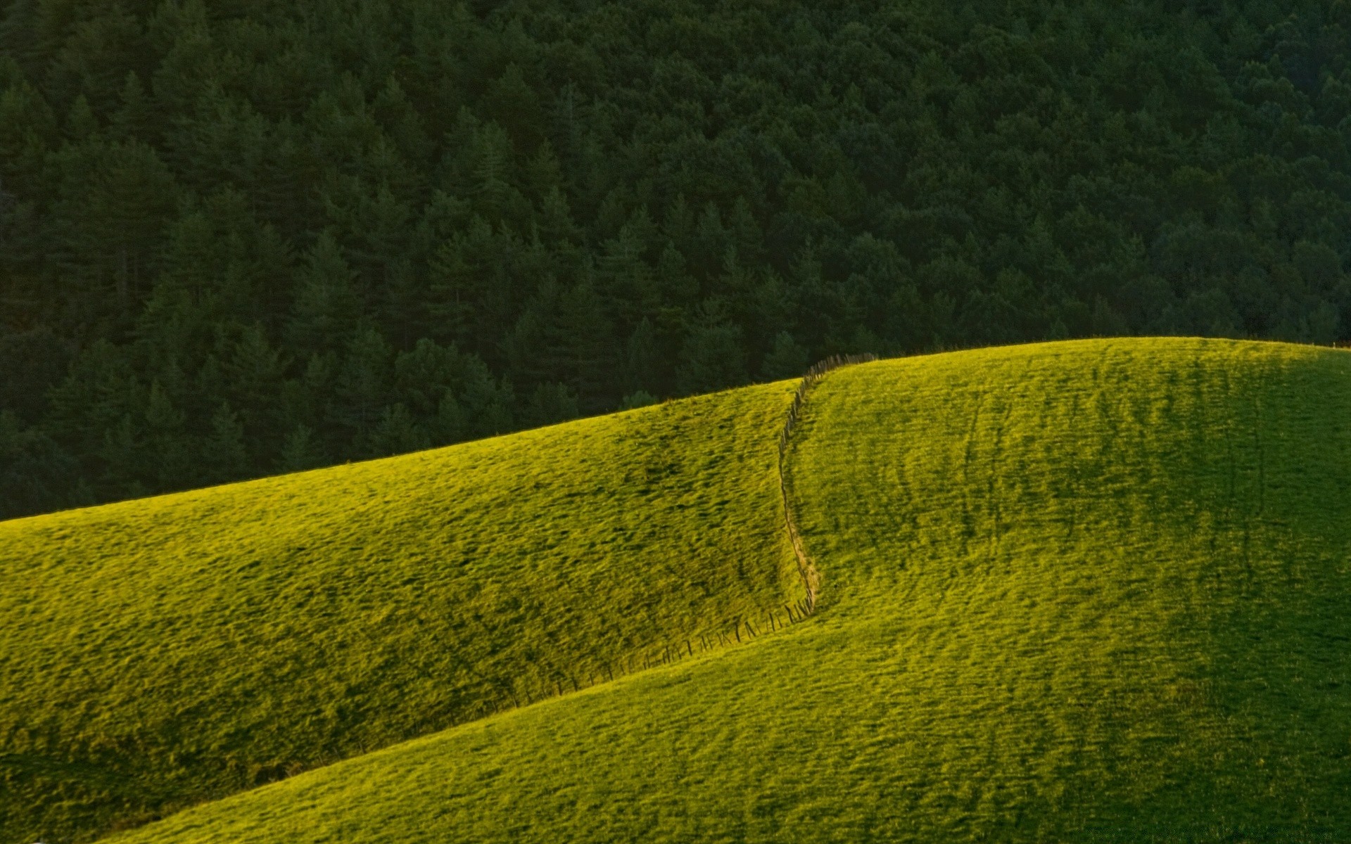 paisagens paisagem terras cultivadas ao ar livre agricultura natureza textura luz do dia