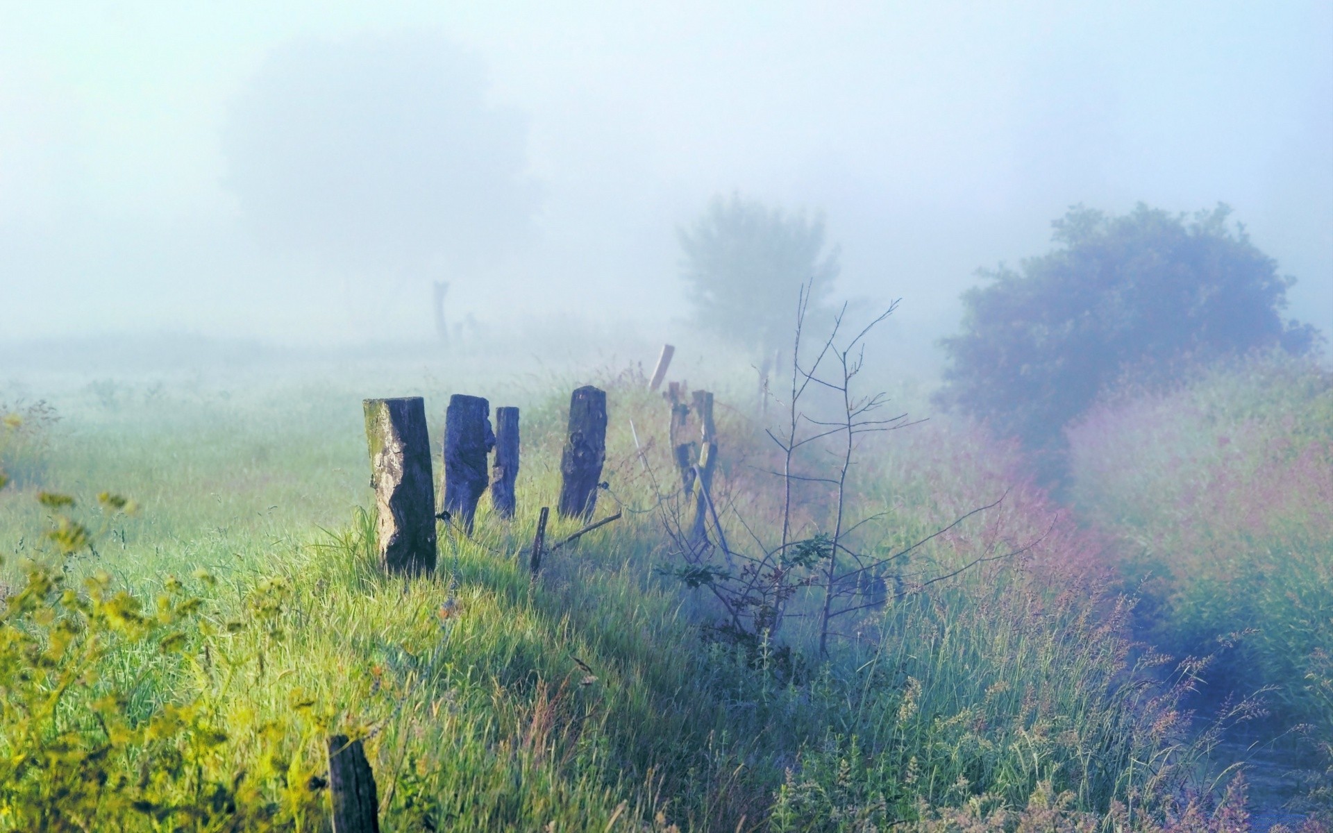 landschaft landschaft nebel baum natur himmel nebel im freien gras feld dämmerung landschaftlich reisen holz wolke umwelt heuhaufen flora berge