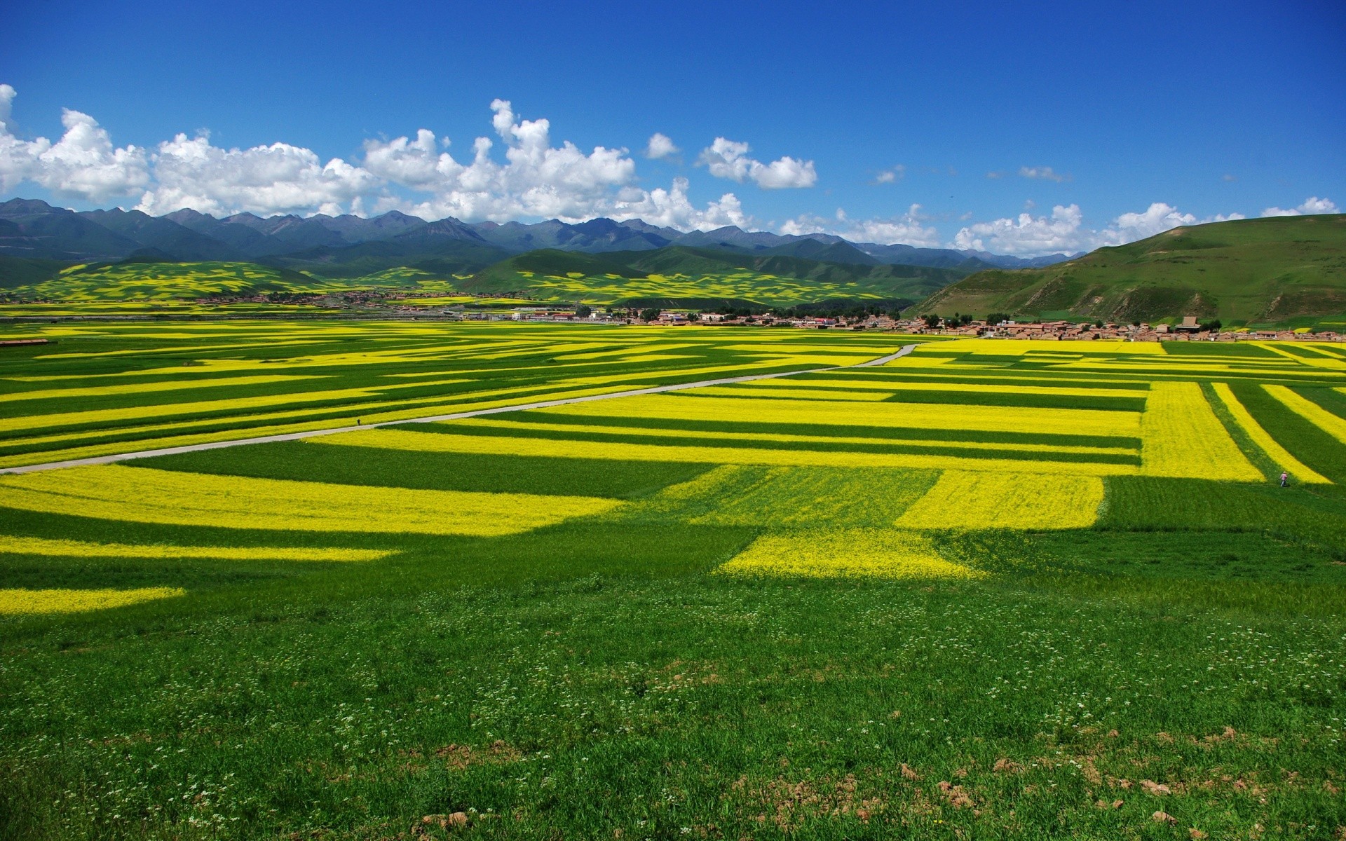 paisagens paisagem grama campo natureza feno rural céu campo verão agricultura colina ao ar livre país fazenda cênica espetáculo pastagem solo pastagem