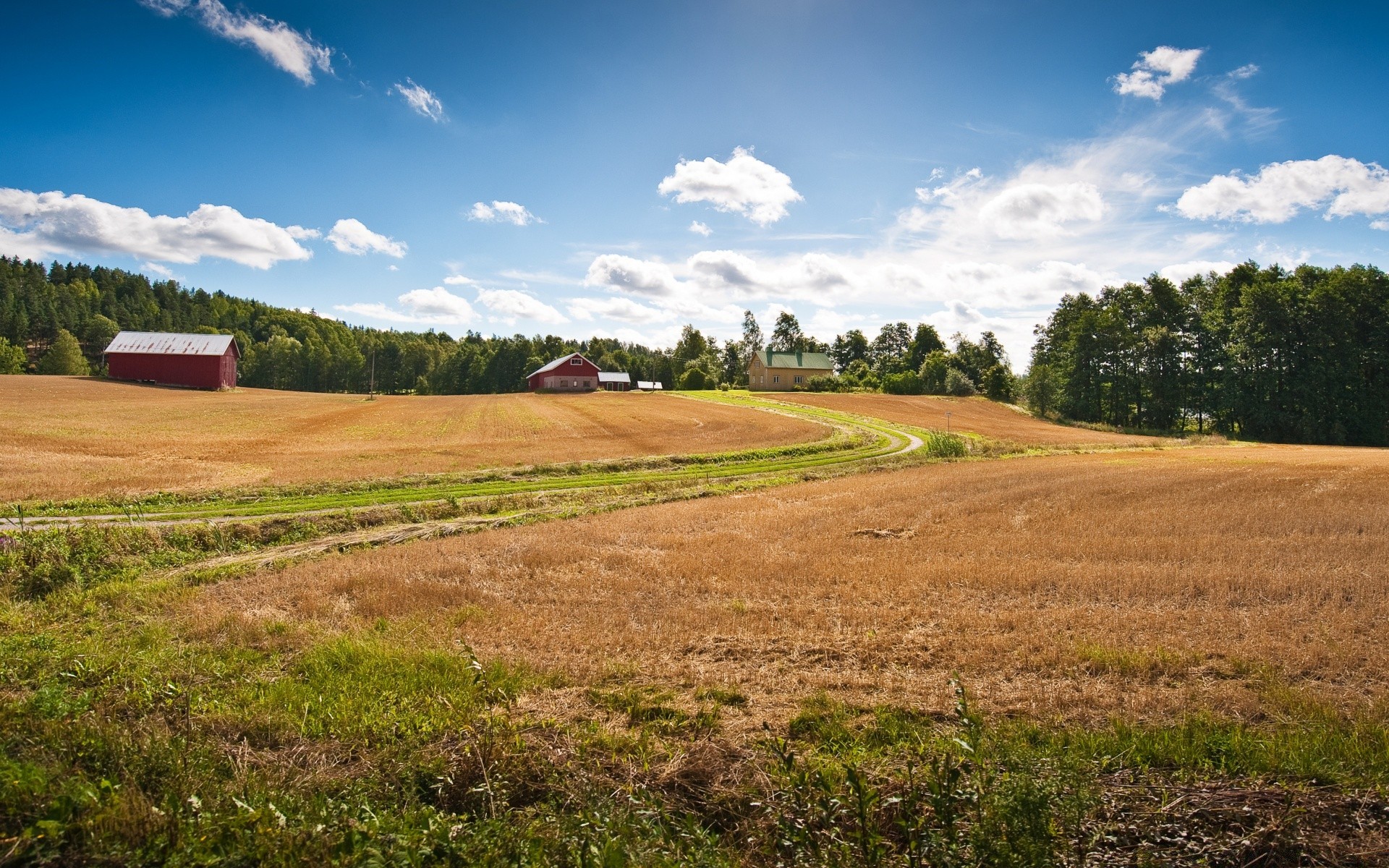 paisagens paisagem agricultura fazenda campo céu campo rural rural terra cultivada ao ar livre árvore grama luz do dia feno natureza solo trigo pasto cênica verão