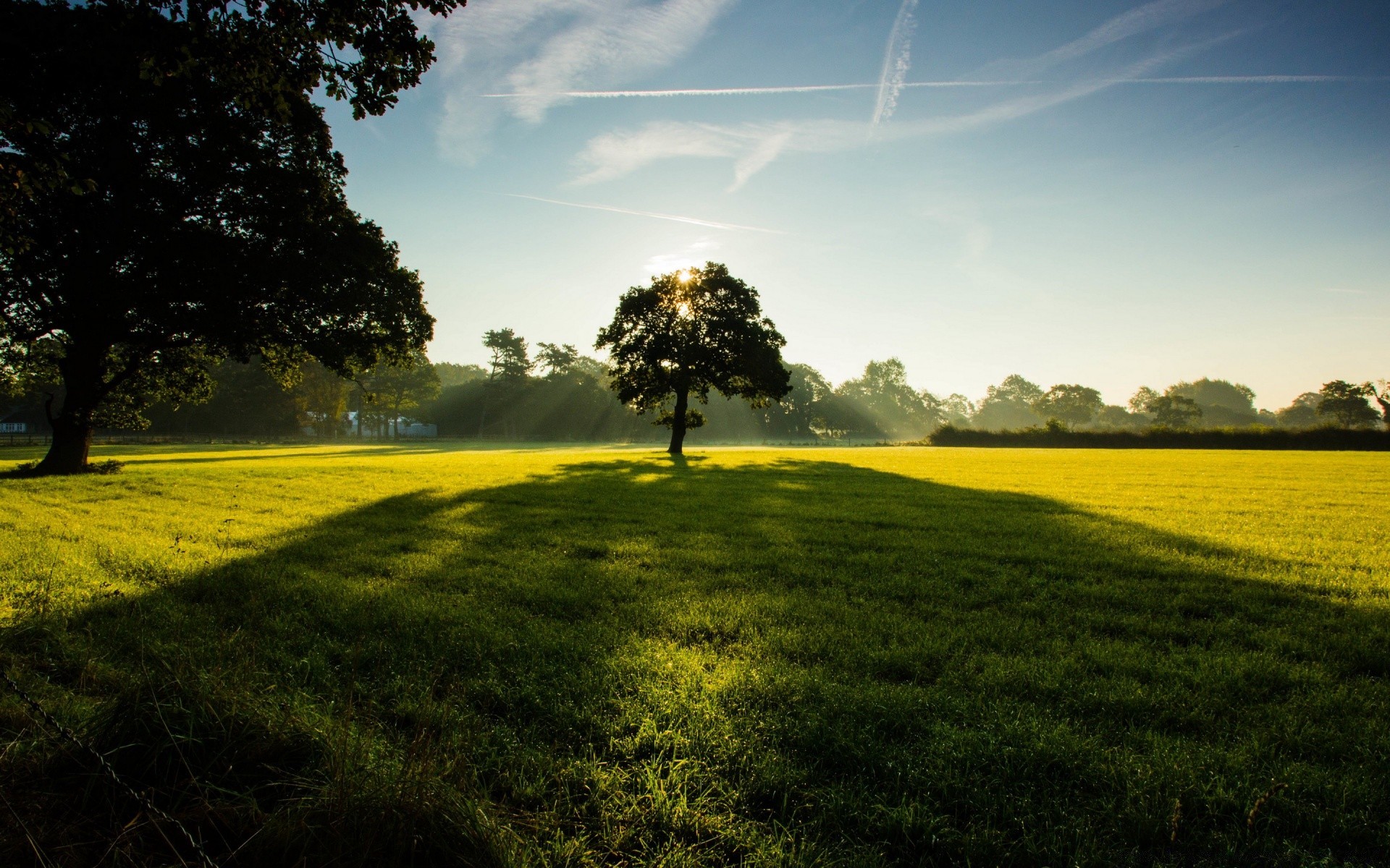 landscapes landscape grass field tree hayfield agriculture nature countryside rural farm sky horizon soil sun outdoors summer fair weather cloud grassland