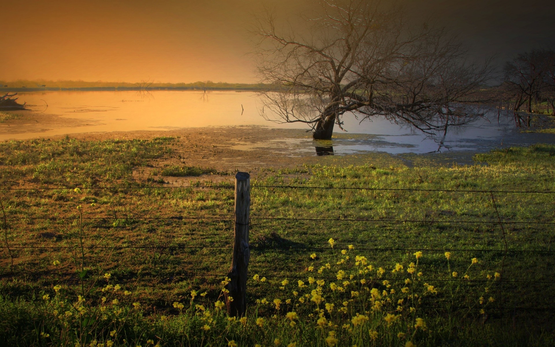 paisagens paisagem amanhecer pôr do sol água árvore névoa névoa lago noite natureza rio reflexão luz marcha céu crepúsculo ao ar livre outono grama