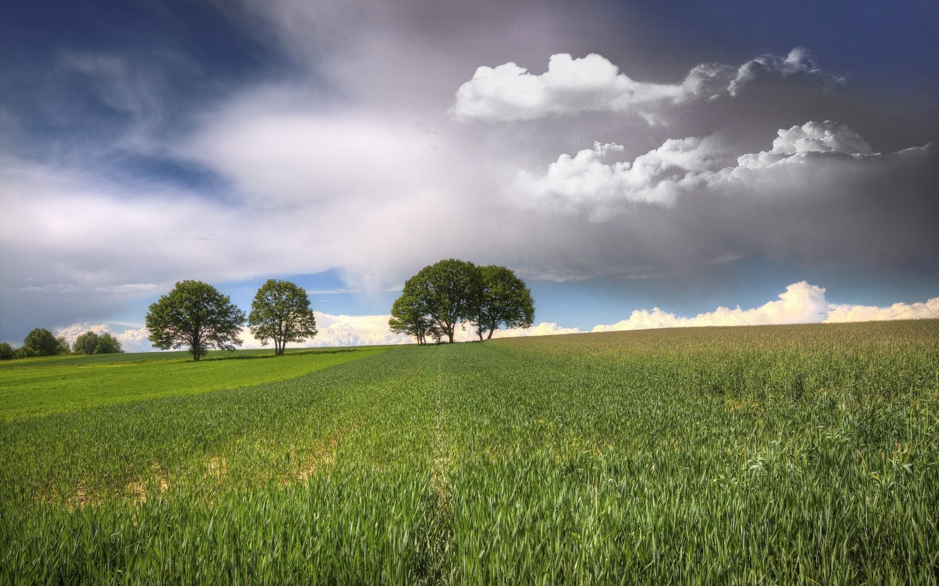 landschaft landschaft natur gras himmel feld des ländlichen raums landschaft sommer landwirtschaft weide im freien wolke heuhaufen bauernhof gutes wetter idylle sonne horizont