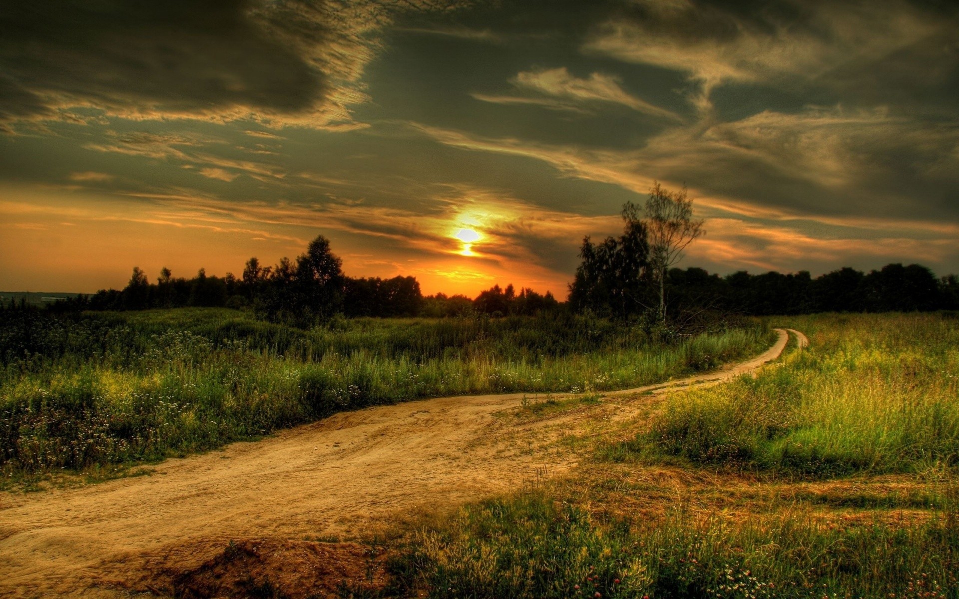 landscapes sunset landscape nature dawn sky sun grass tree rural evening countryside outdoors field fair weather cloud