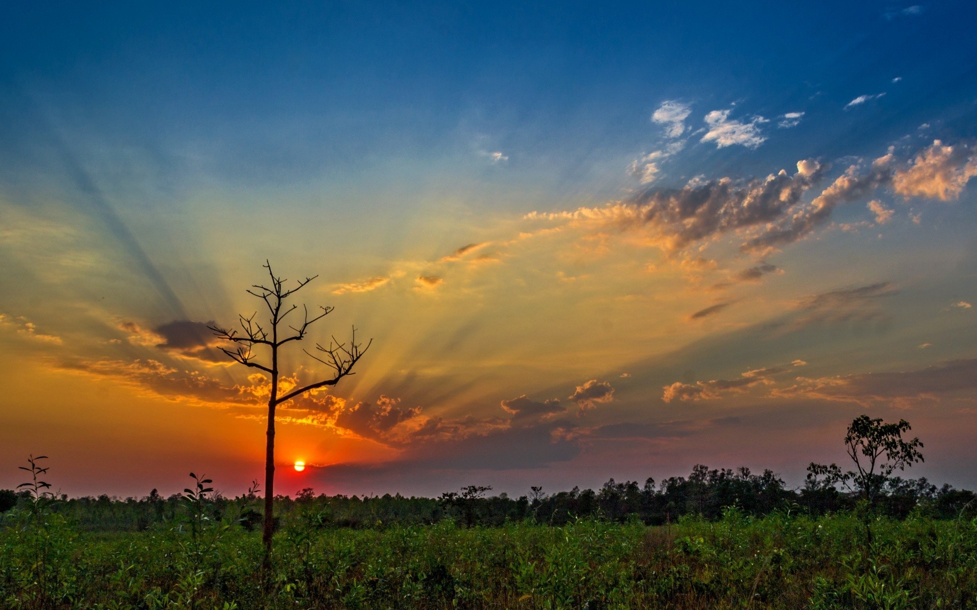 paysage coucher de soleil aube ciel soleil paysage soir nature à l extérieur crépuscule beau temps arbre