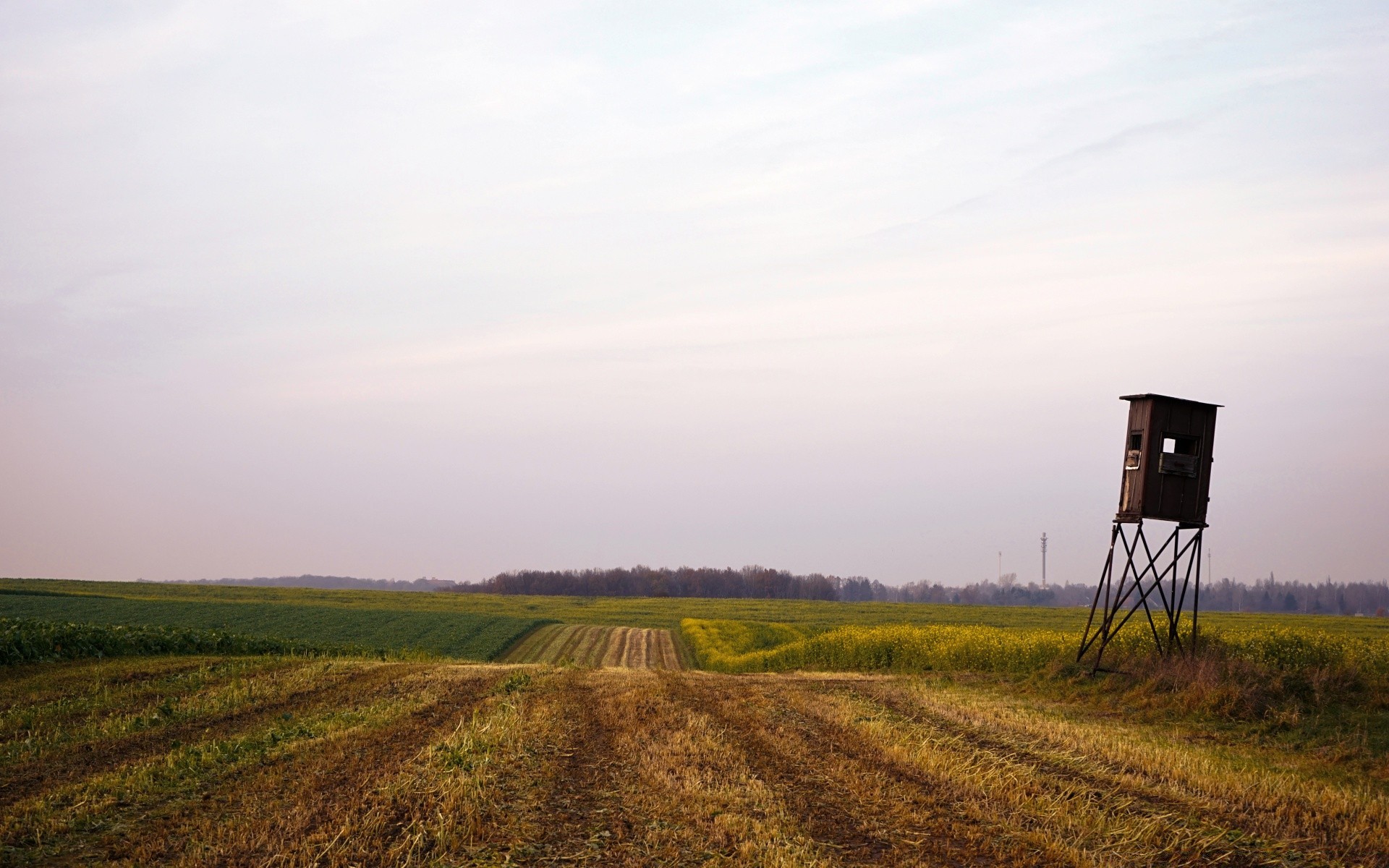 paesaggio paesaggio terreni coltivati agricoltura campo tramonto azienda agricola all aperto cielo alba luce del giorno erba albero pascolo campagna