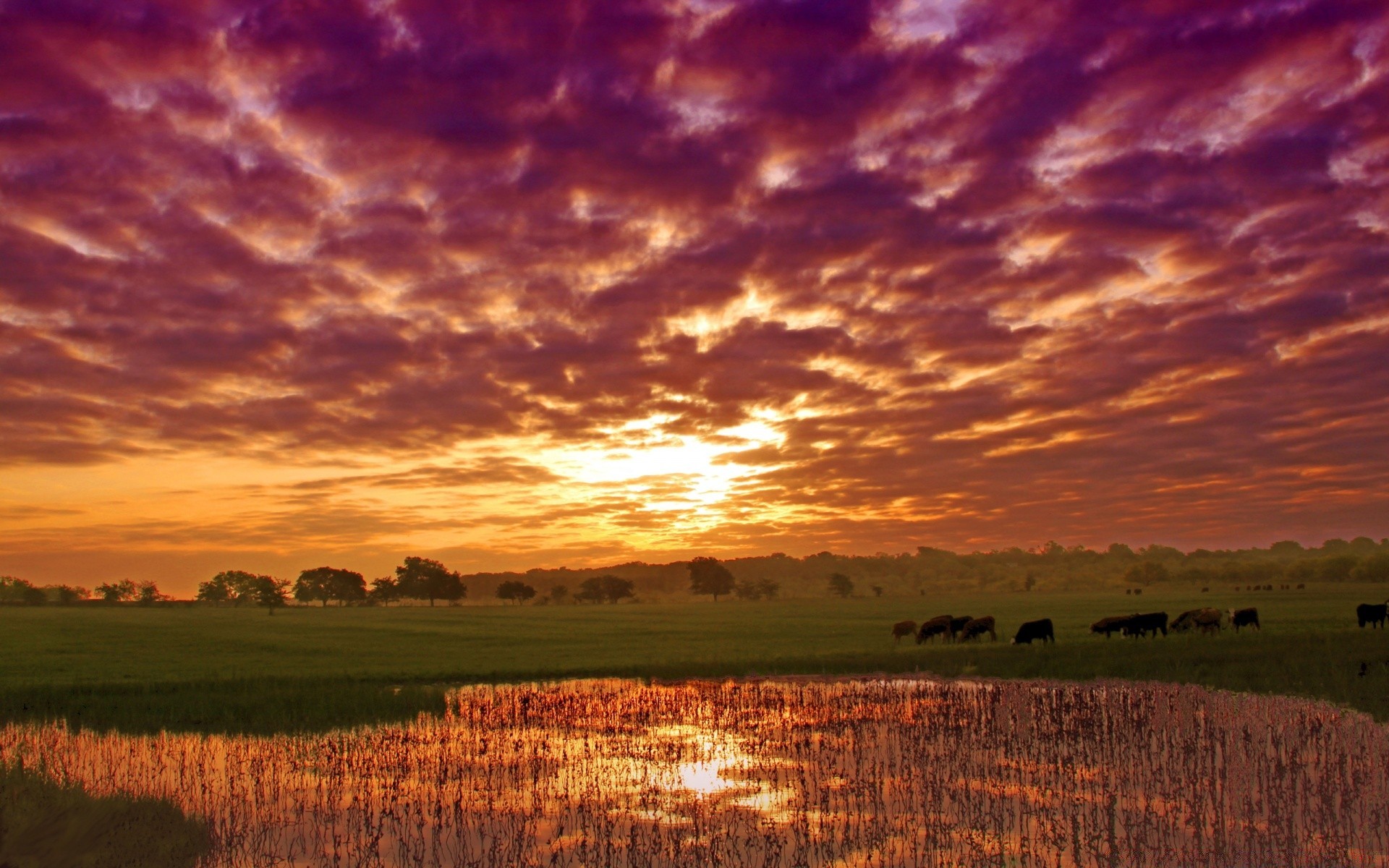 landscapes nature sunset outdoors sky dawn landscape sun fair weather evening dusk rural summer countryside tree bright