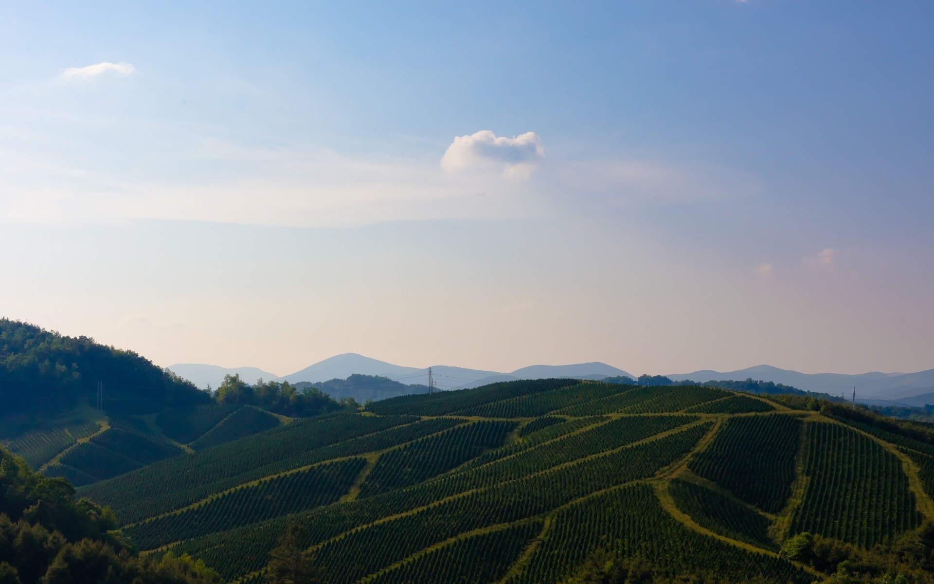 landschaft landschaft reisen berge bebautes land hügel landwirtschaft nebel baum im freien himmel natur tageslicht bauernhof tal landschaftlich licht holz