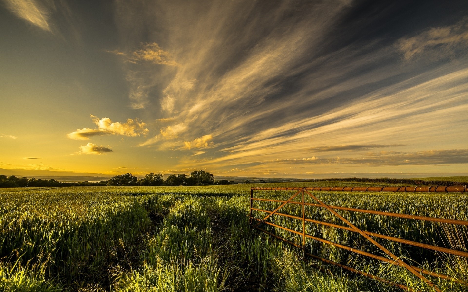 landscapes sunset agriculture landscape sky nature cropland rural dawn field countryside farm sun corn outdoors pasture crop evening cereal fair weather