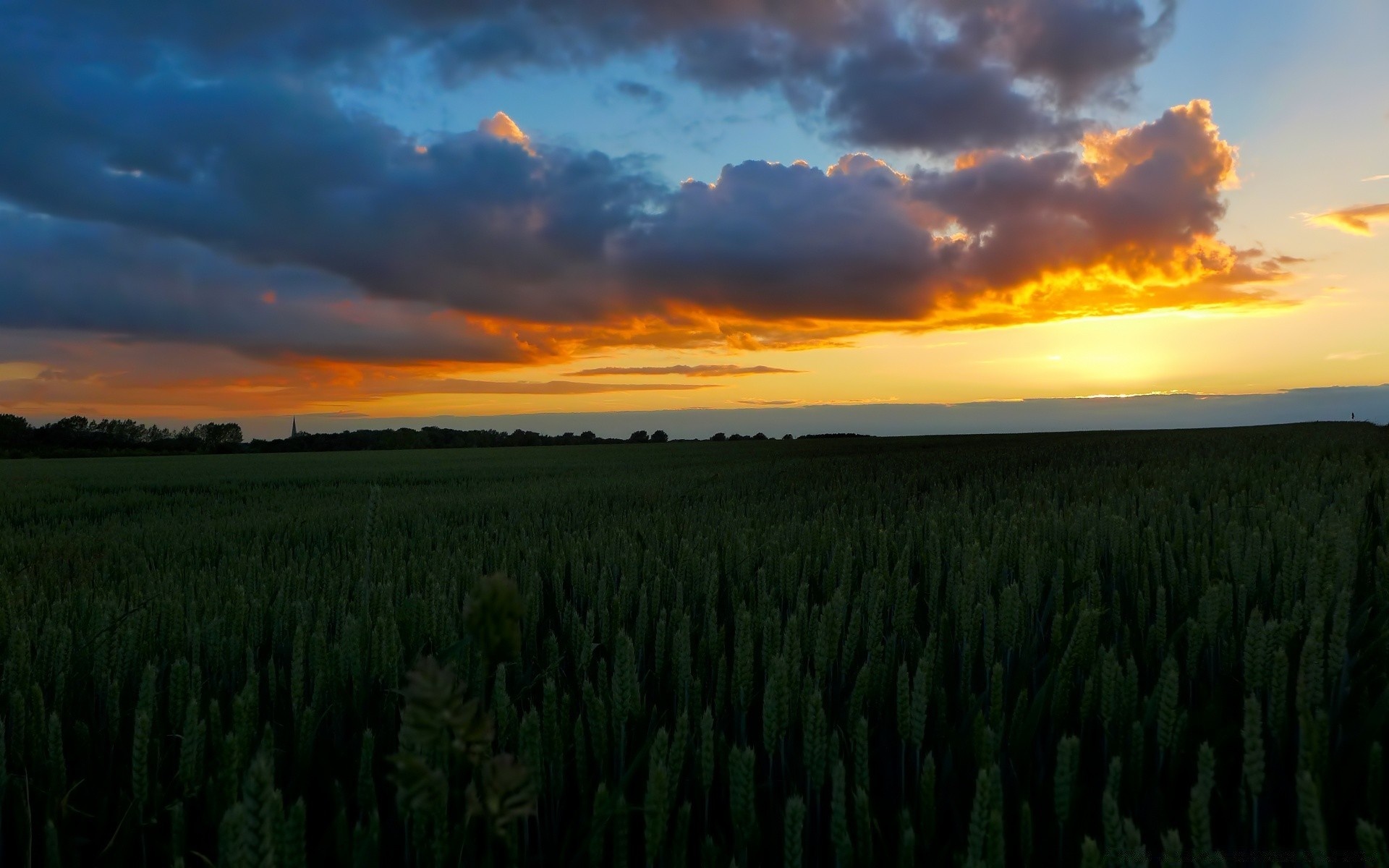 paysage coucher de soleil aube paysage nature rural en plein air ciel agriculture soleil campagne terres cultivées champ été beau temps soir herbe céréales ferme pâturage