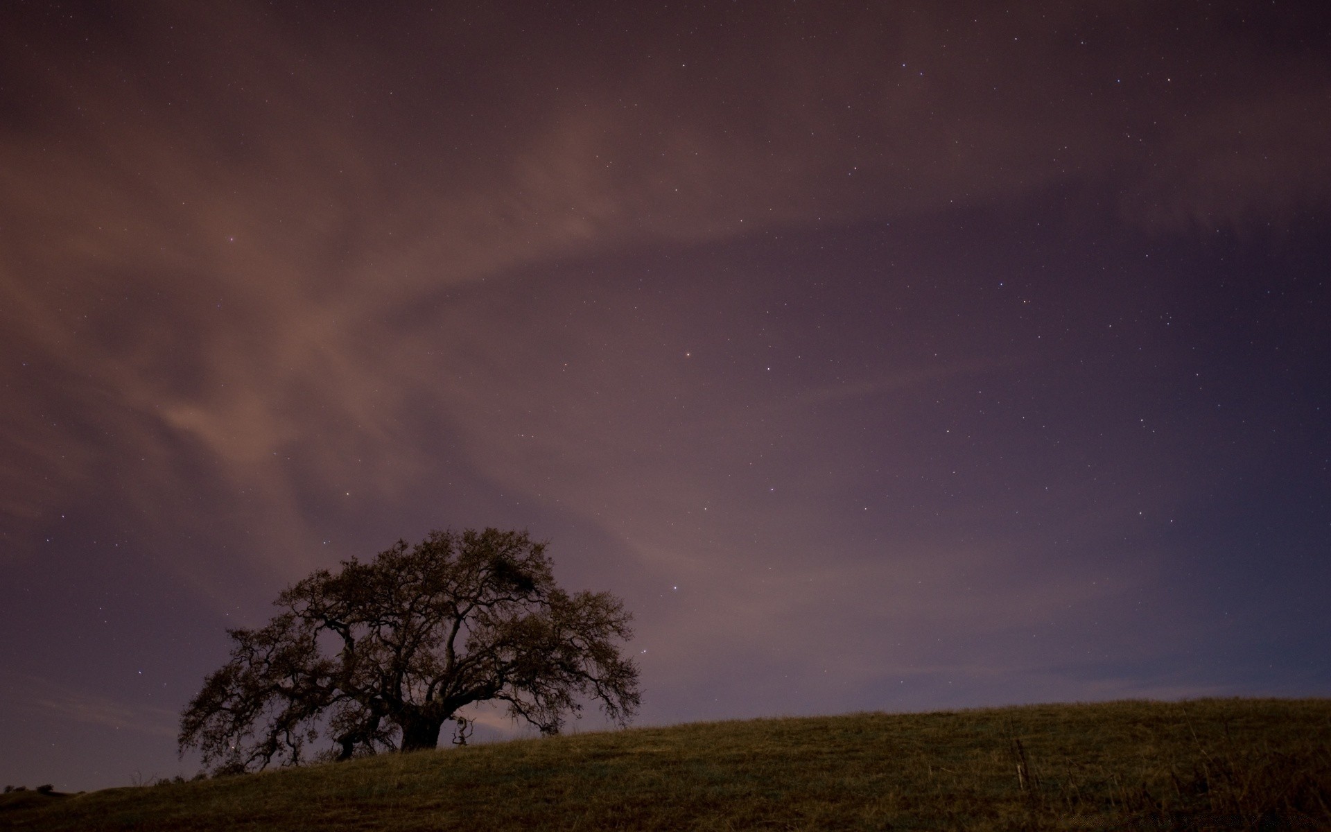 landschaft landschaft himmel baum nebel sonnenuntergang wetter dämmerung mond sturm silhouette licht am abend natur sonne wüste geheimnis nebel tageslicht im freien