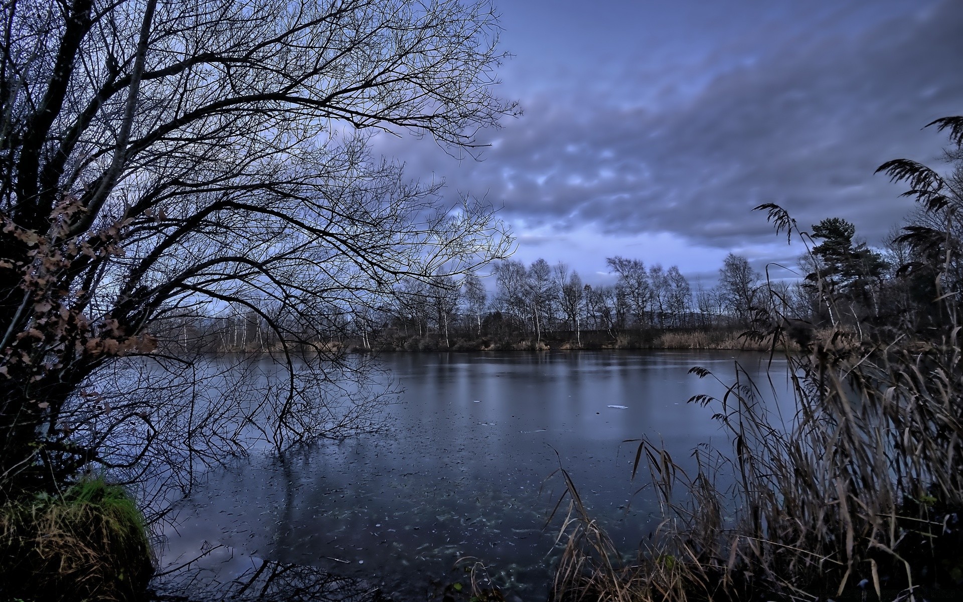 paesaggio acqua albero natura lago paesaggio alba riflessione inverno autunno legno tramonto fiume all aperto cielo freddo parco