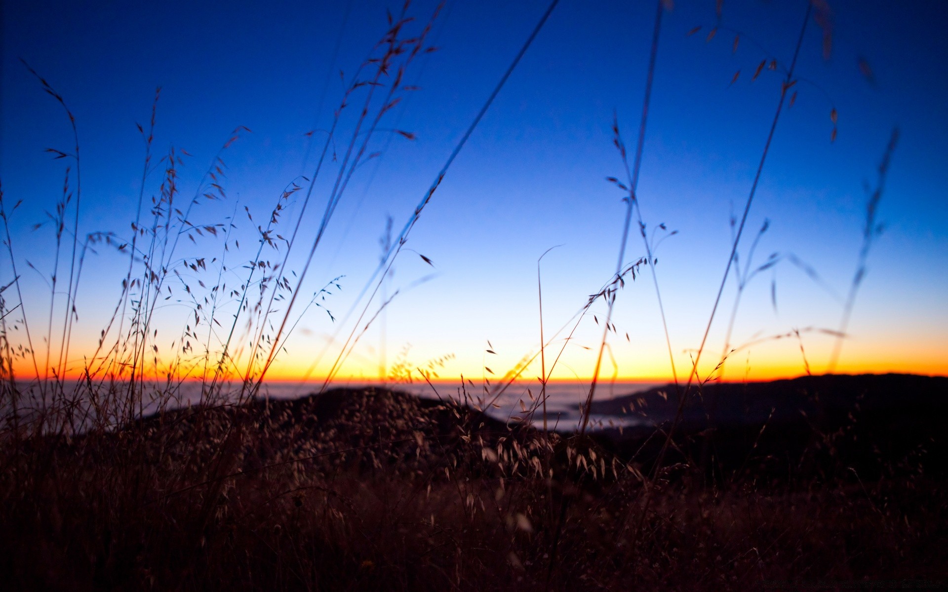 paysage coucher de soleil paysage soir ciel lumière aube soleil silhouette crépuscule nature champ herbe sol