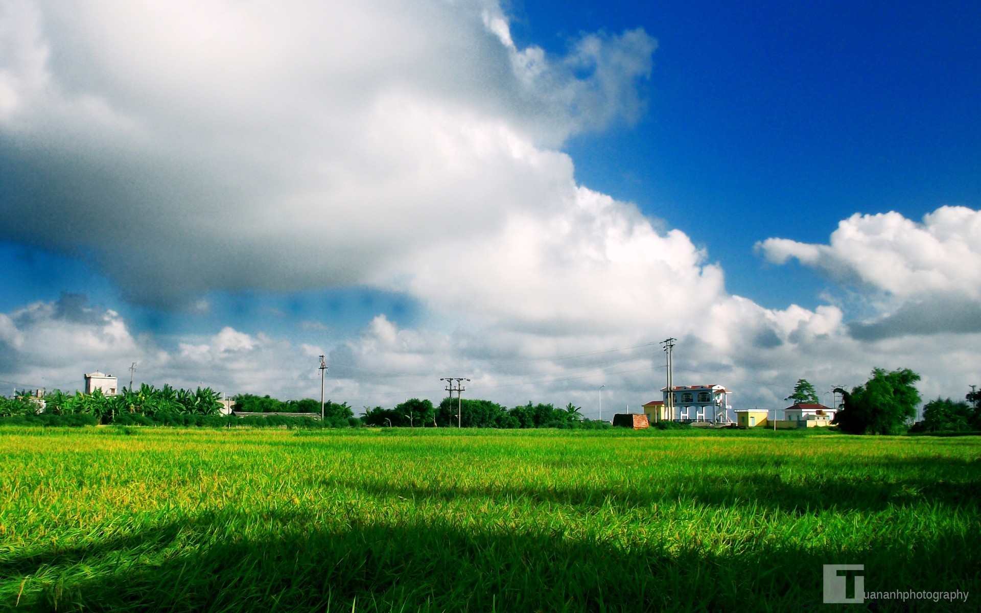 景观 农业 农村 天空 农场 田野 自然 乡村 牧场 户外 景观 草地 农田 夏季 环境 工业