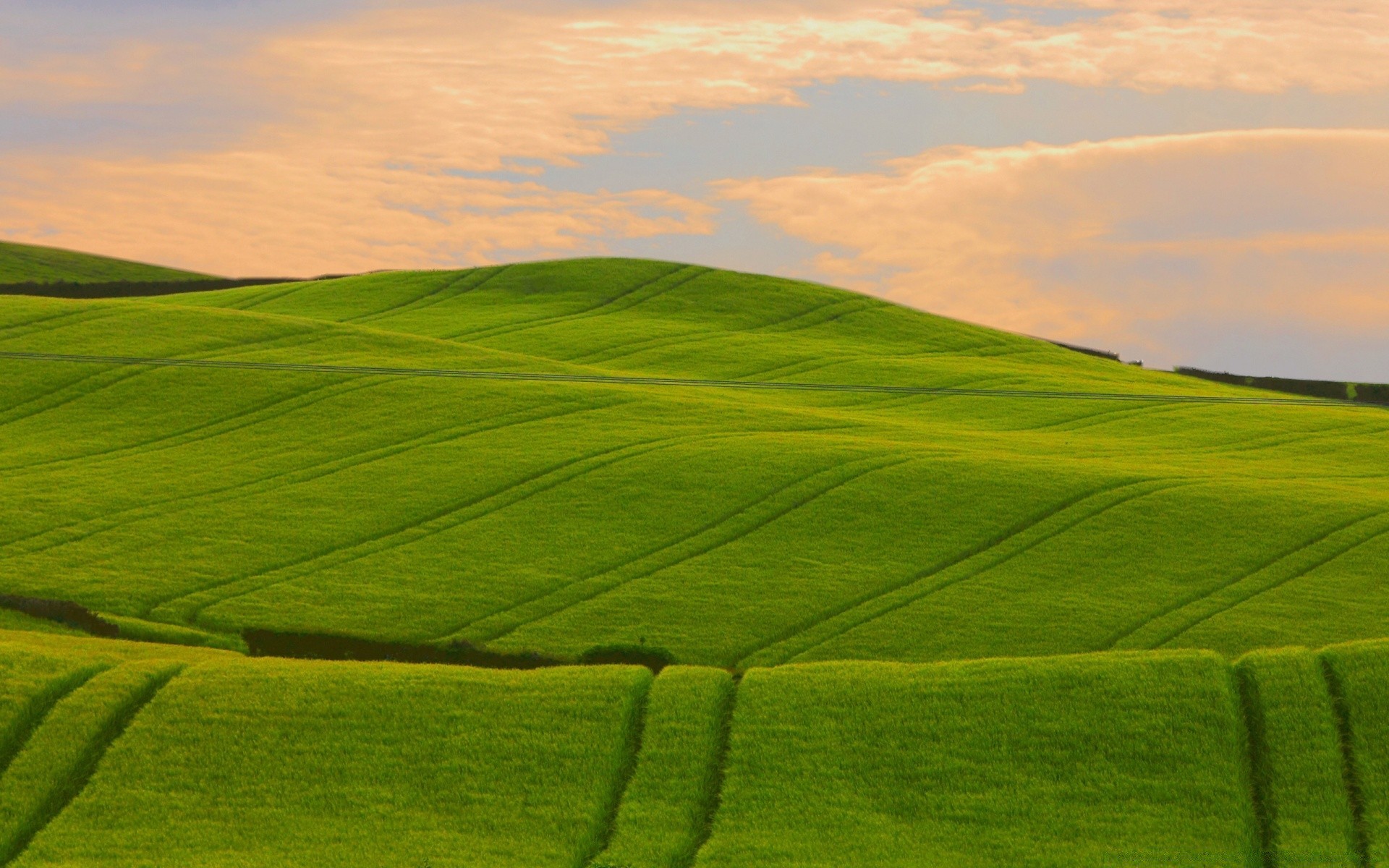 paisaje hierba campo paisaje naturaleza al aire libre rural campo verano tierra cultivada crecimiento amanecer cielo tierras de cultivo agricultura pasto golf