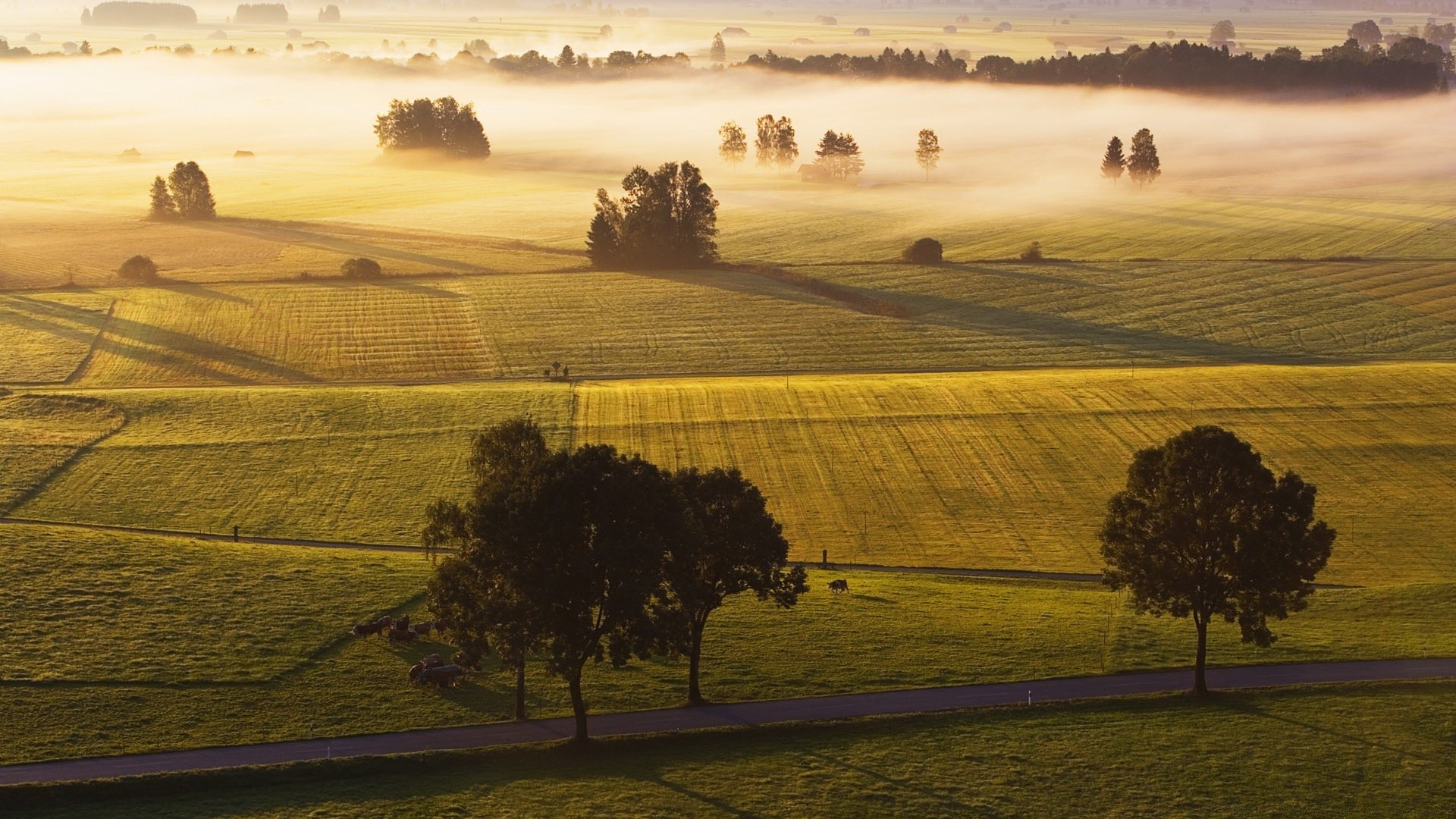 landscapes landscape sunset dawn evening tree cropland hill agriculture field outdoors farm pastoral light sky scenic travel cypress shadow nature