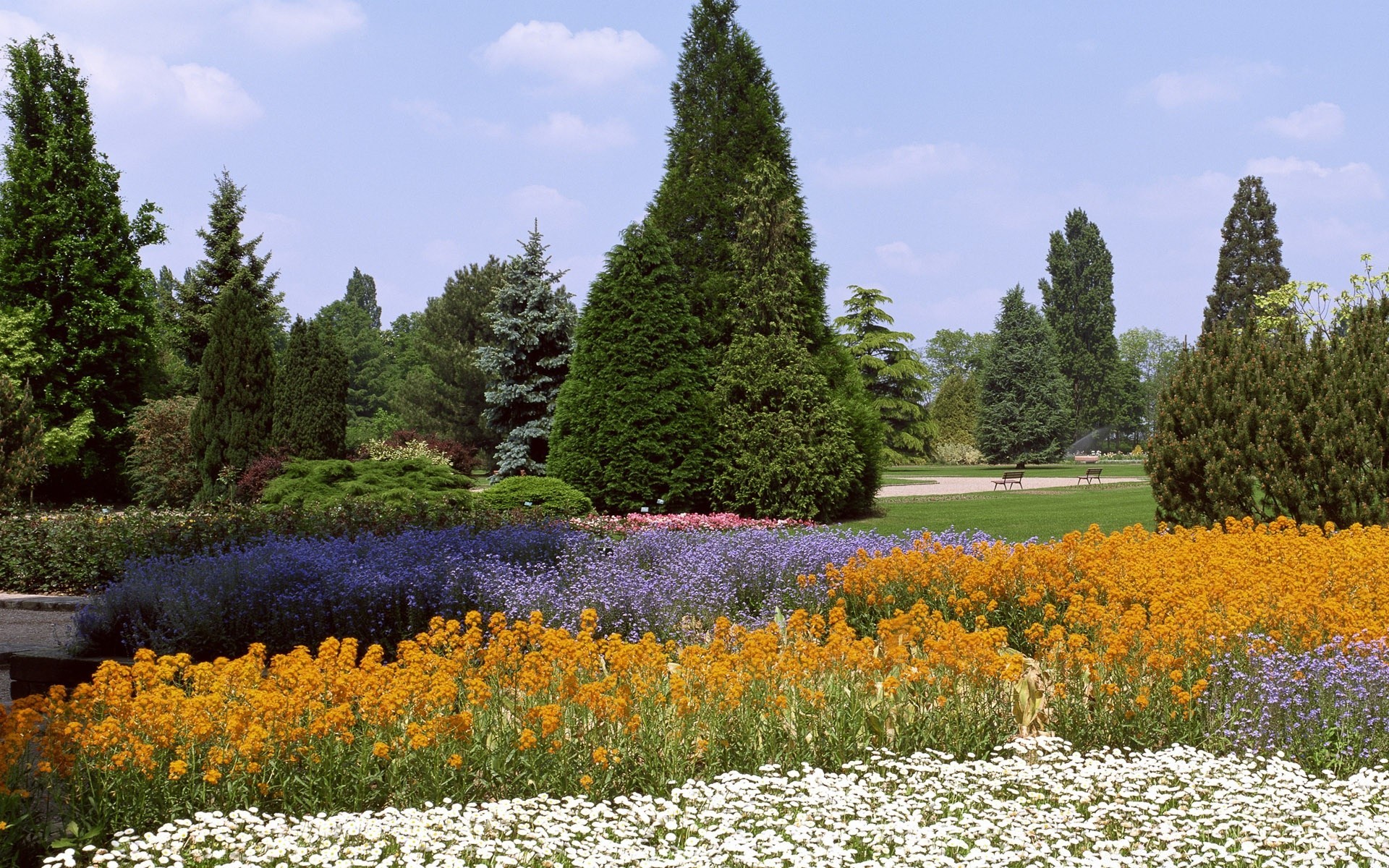 manzara çiçek manzara açık havada bahçe yaz doğa ağaç flora doğal saman sezon park gün ışığı çimen çiçeklenme renk büyüme güzel hava çim