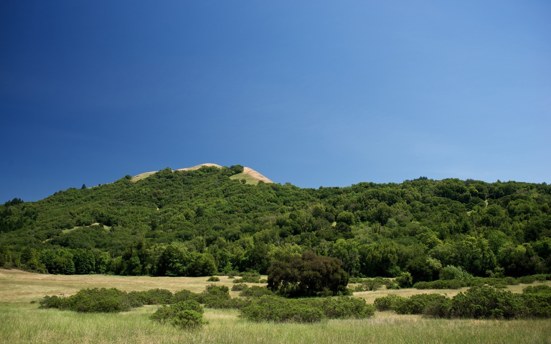 landschaft landschaft baum natur himmel im freien landwirtschaft hügel reisen bebautes land gras sommer landschaft ländliche feld