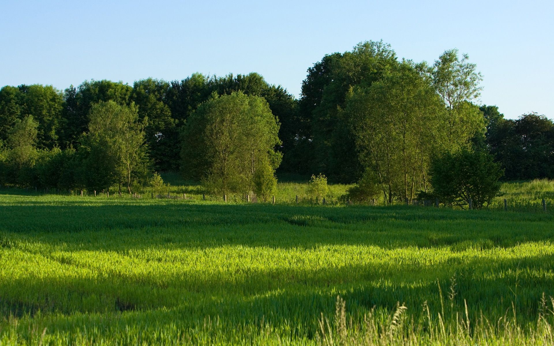 landscapes landscape field agriculture rural summer nature farm tree grass countryside outdoors hayfield pasture country environment sky