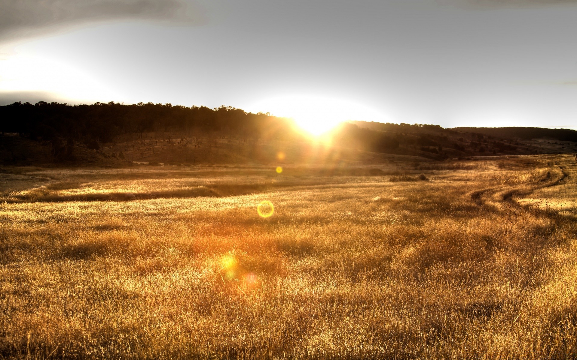 paisagens pôr do sol paisagem amanhecer natureza céu sol campo à noite ao ar livre luz crepúsculo grama bom tempo