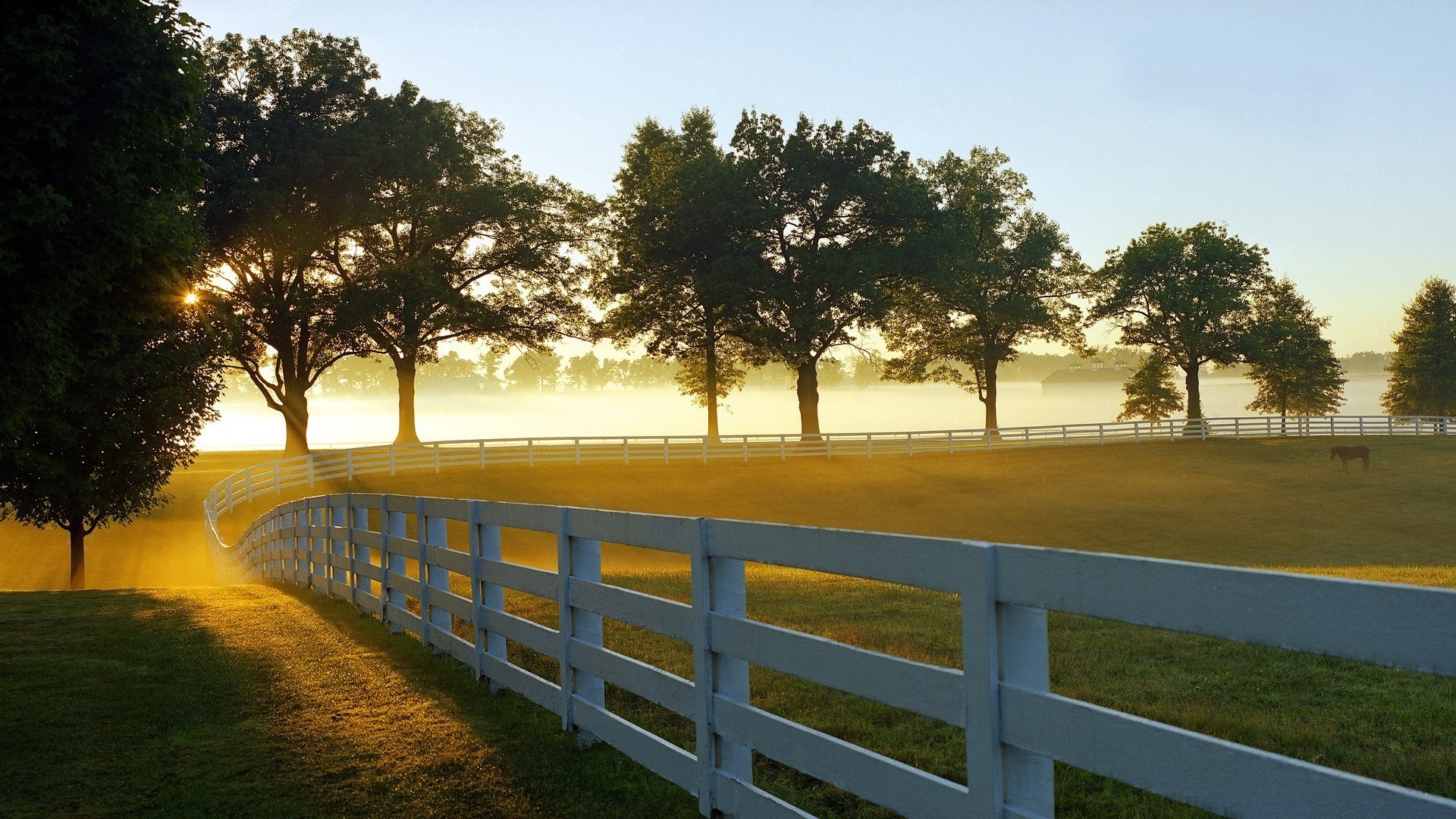 landscapes tree landscape grass light fence nature wood park environment outdoors daylight dawn shadow sky road