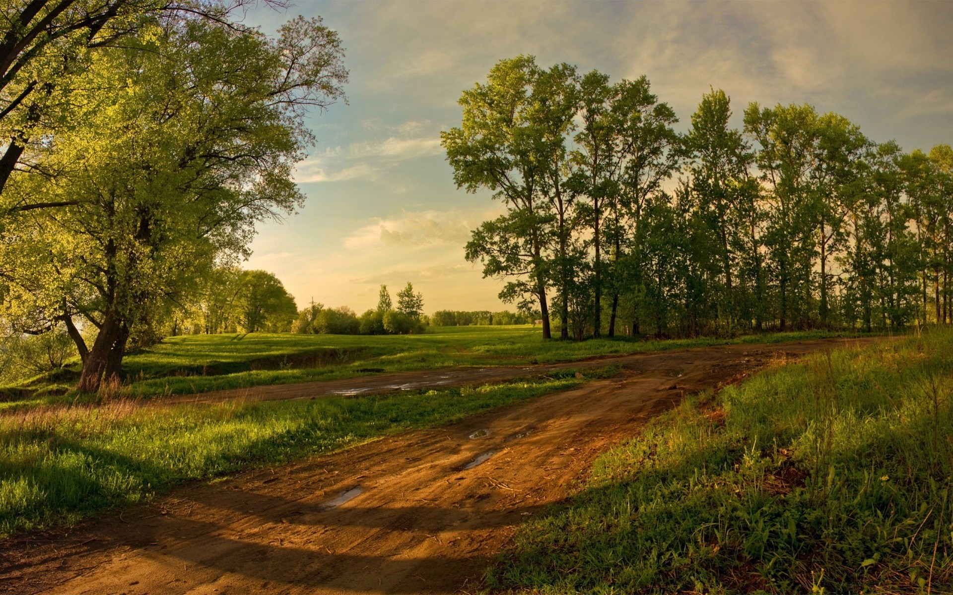 landscapes tree landscape nature grass wood rural outdoors sky field countryside hayfield summer park scenic agriculture country environment