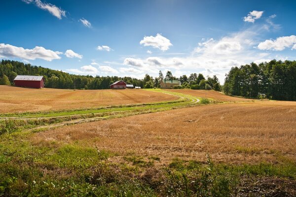 Agricultura. Granja en el bosque