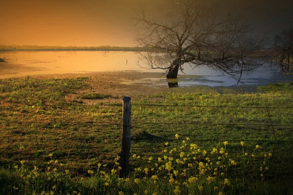 Farben im Feld neben Wasser und trockenem Holz