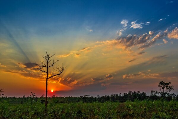 Schöner Himmel, Landschaft mit Sonnenuntergang