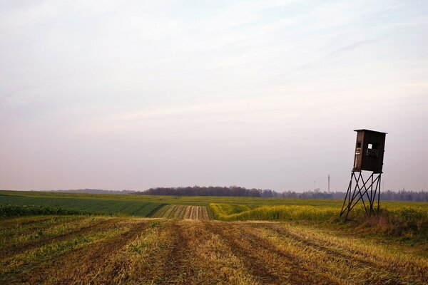 Landschaften eines schönen ländlichen Feldes