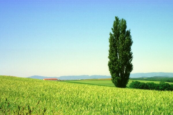 La belleza del paisaje rural