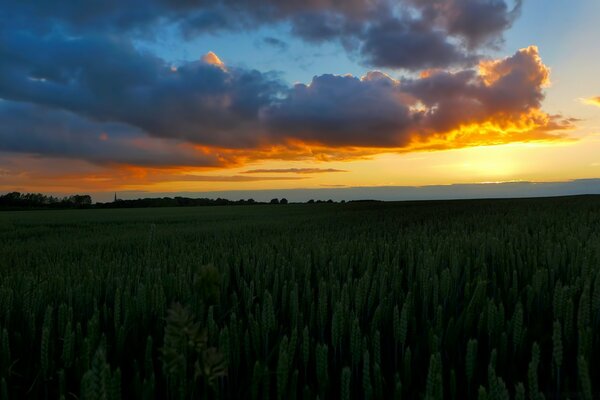 Ve al atardecer y ve al amanecer