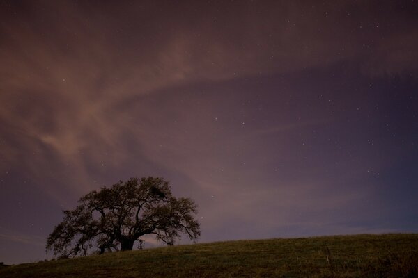 The starry evening landscape is flawless