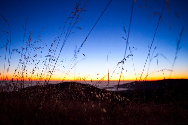 Photo of the evening sky over the field