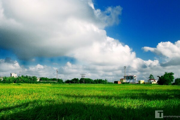 年轻的绿色田野，远处有一座可见的住宅楼