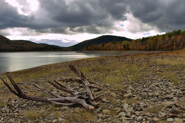 Lake in cloudy weather. Landscape of lake and trees