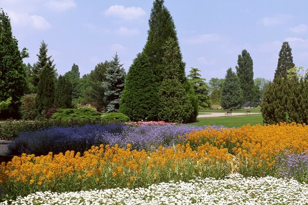 Landscape with a garden in bloom and trees