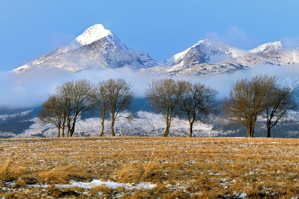 Paisagem montanhosa. Montanhas cobertas de neve