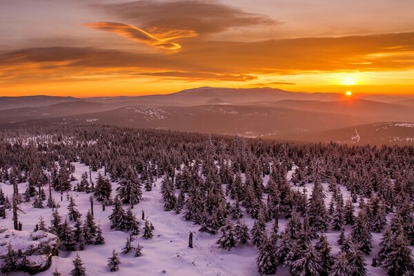 Tramonto dietro le montagne foresta nuvole di neve