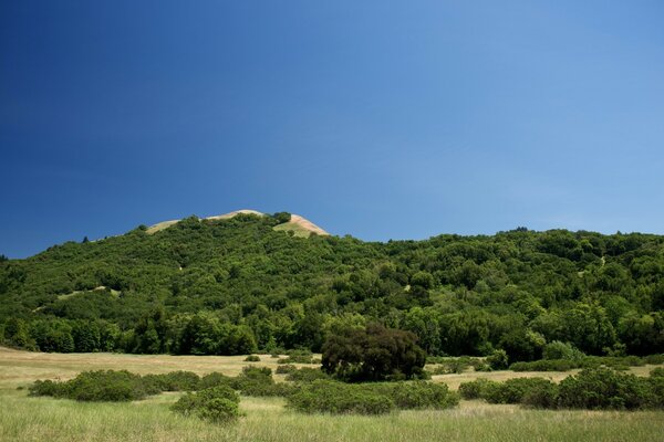 Paisajes del cielo, árboles, naturaleza