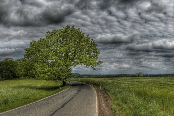 Eine Landschaft mit düsterem Wetter, eine Straße mit einer Kurve