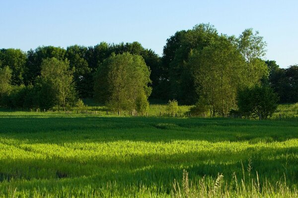 The beautiful landscape of the countryside