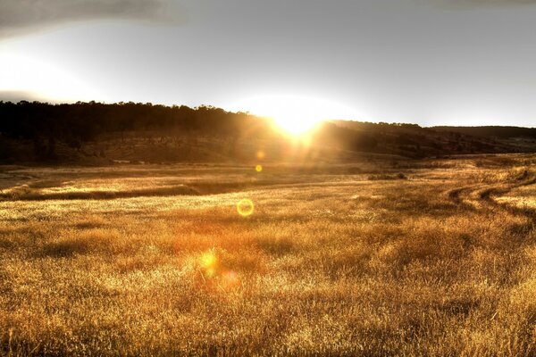 Aube dans le champ, paysage naturel