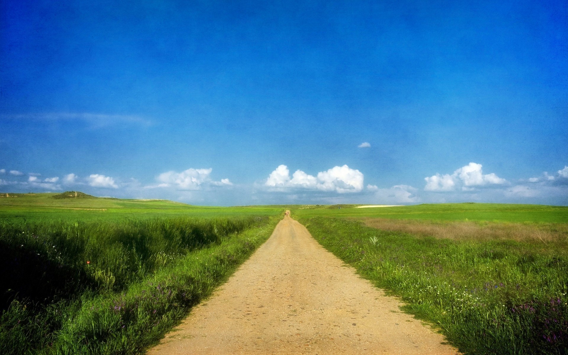 landschaft des ländlichen gras landschaft himmel landschaft feld natur im freien sommer wolke straße boden landwirtschaft horizont sonne land bauernhof gutes wetter weide