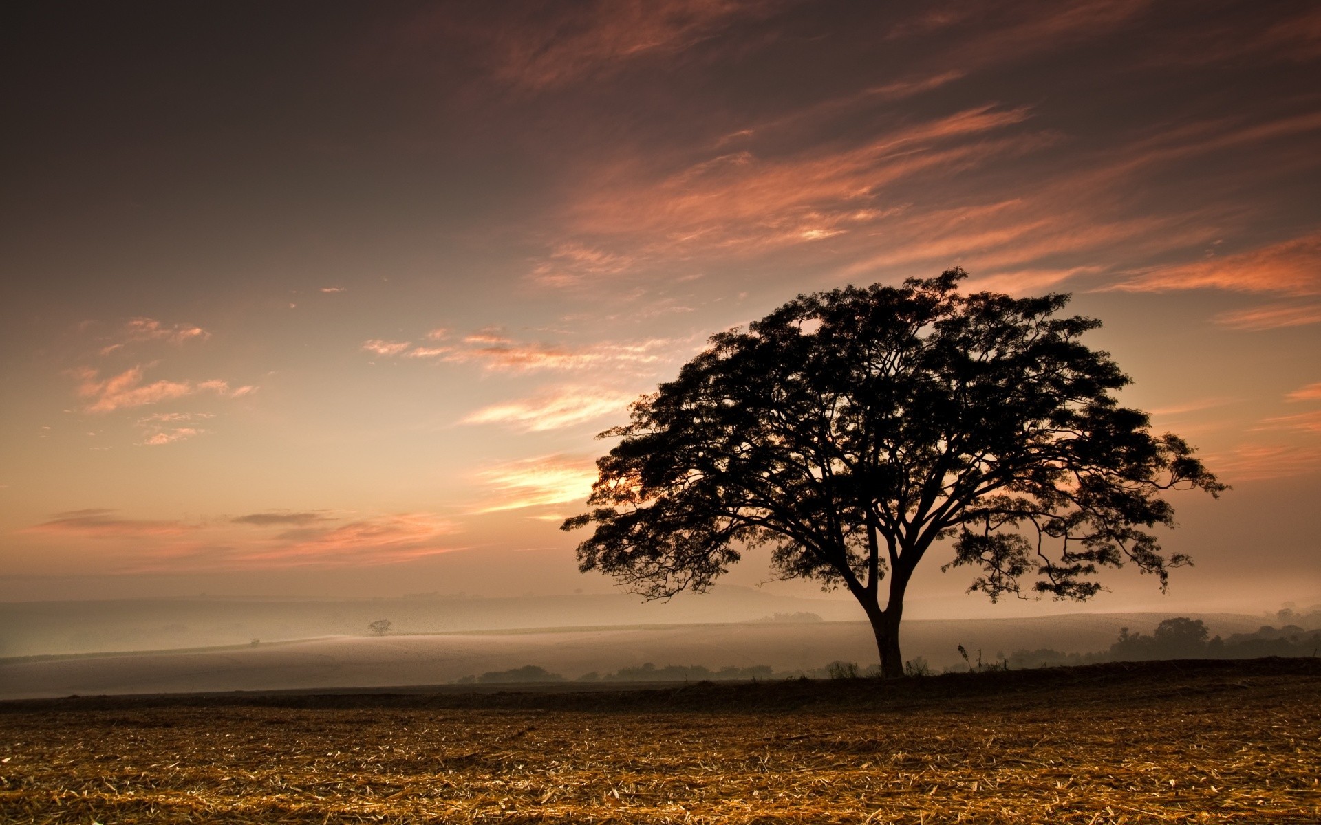 landscapes sunset dawn sun evening water landscape dusk nature sky backlit beach