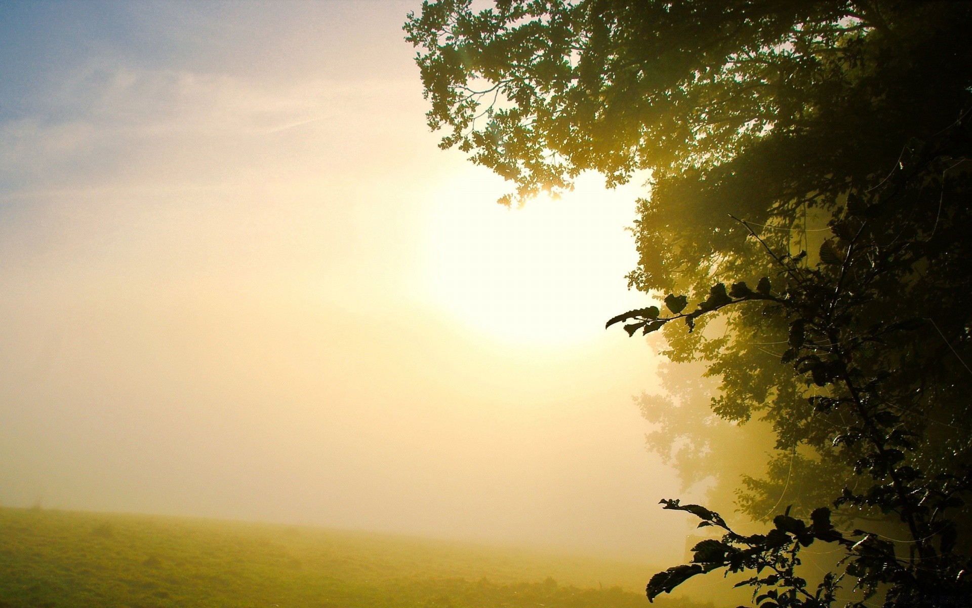 paysage paysage arbre aube soleil nature en plein air coucher de soleil brouillard ciel beau temps lumière rétro-éclairé lumière du jour brouillard été bois soirée automne